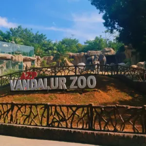 Arignar Anna Zoological Park Vandalur Zoo Chennai