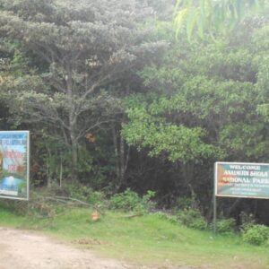 Anamudi Shola National Park