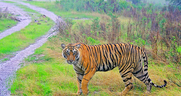 Anshi National Park - Image 2