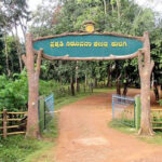 Anshi National Park