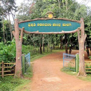 Anshi National Park