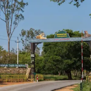Bandipur National Park