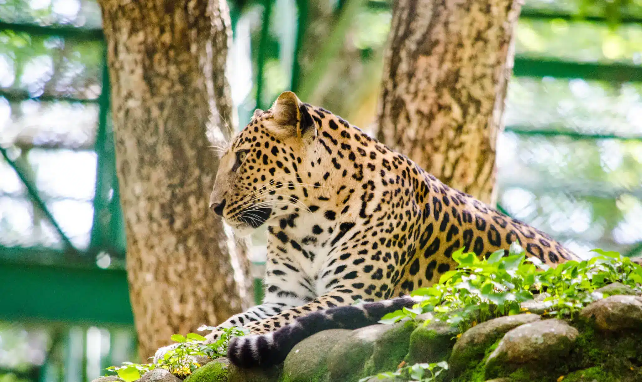 Bannerghatta Biological Park - Image 3