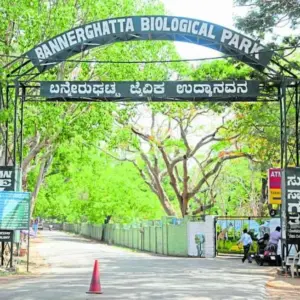 Bannerghatta Biological Park