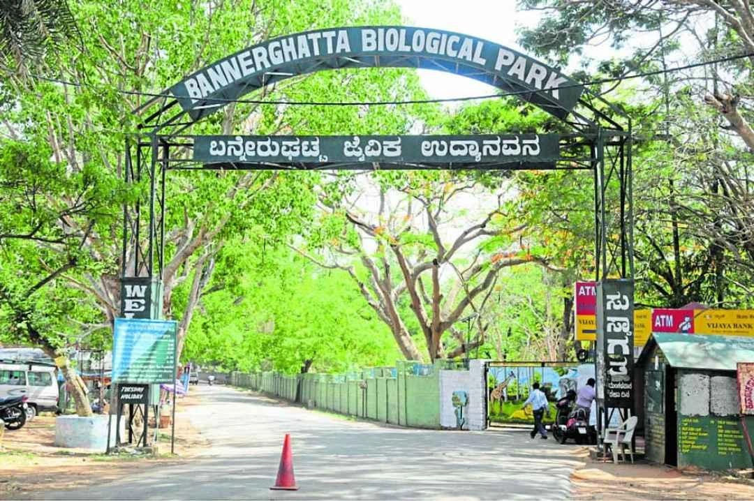 Bannerghatta Biological Park