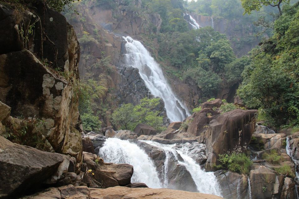 Betla National Park - Image 4