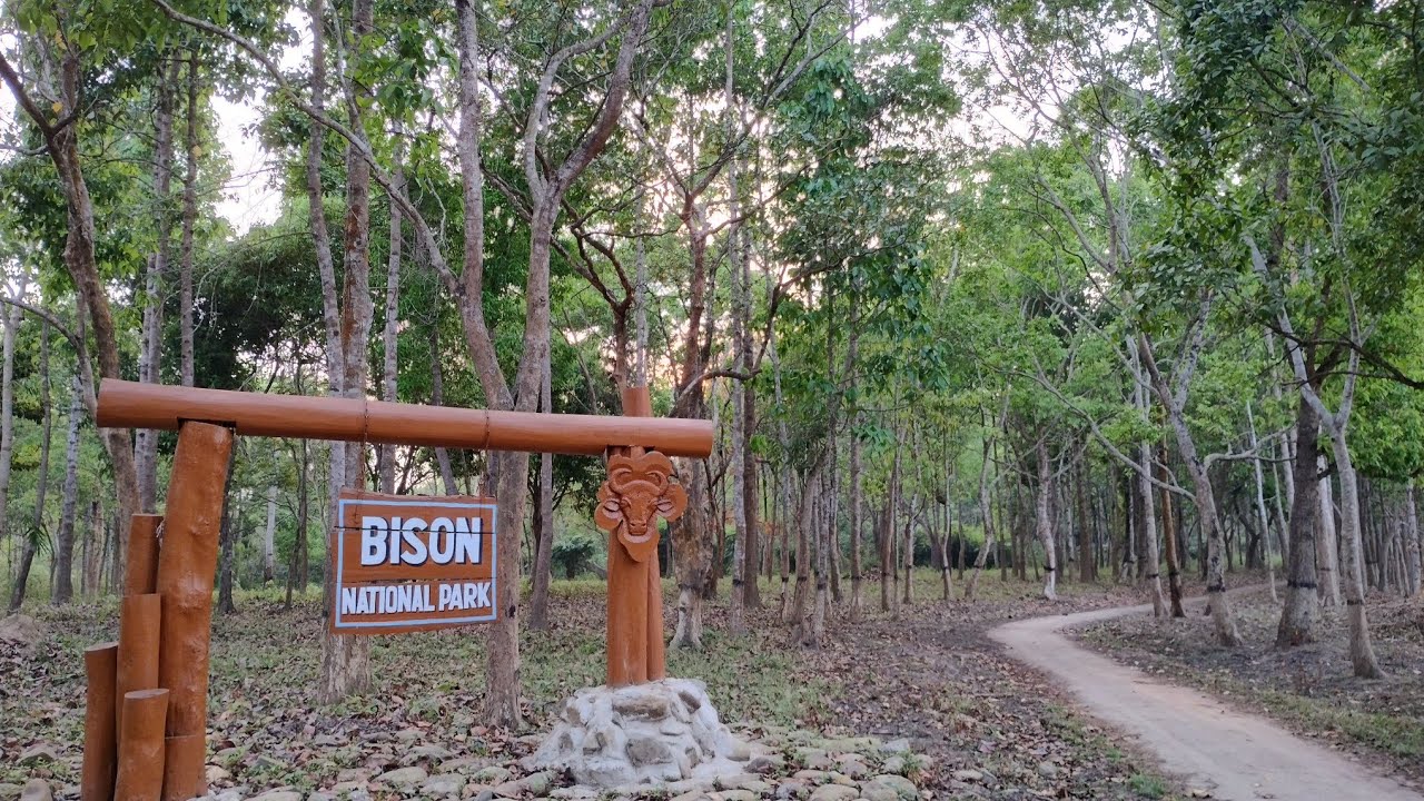 Bison National Park