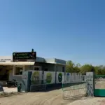 Blackbuck National Park