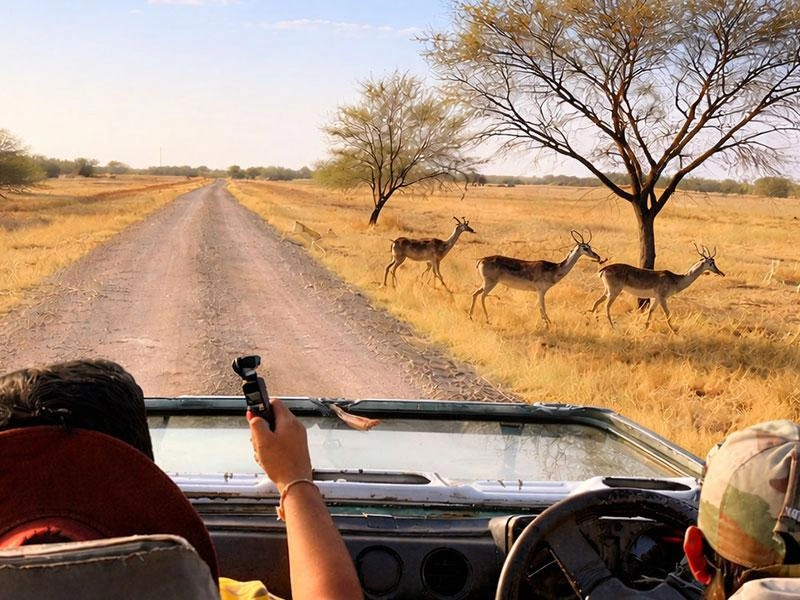 Blackbuck National Park - Image 3