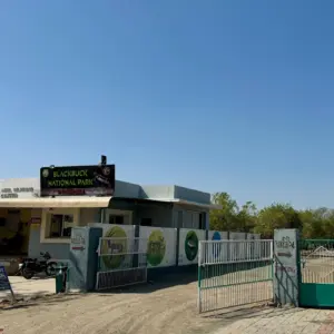 Blackbuck National Park