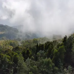 Bryant Park Kodaikanal