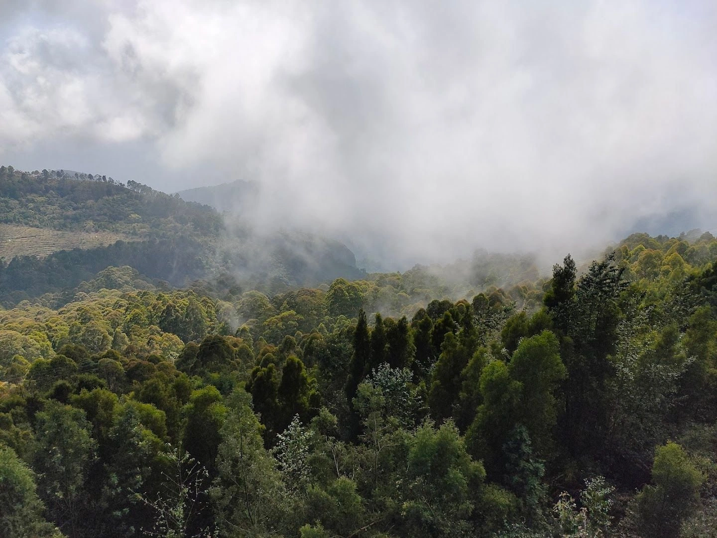 Bryant Park Kodaikanal
