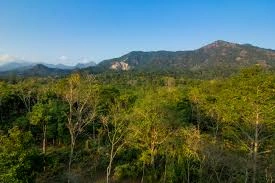 Buxa National Park - Image 4