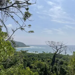 Campbell Bay National Park