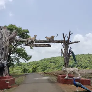 Chandoli National Park