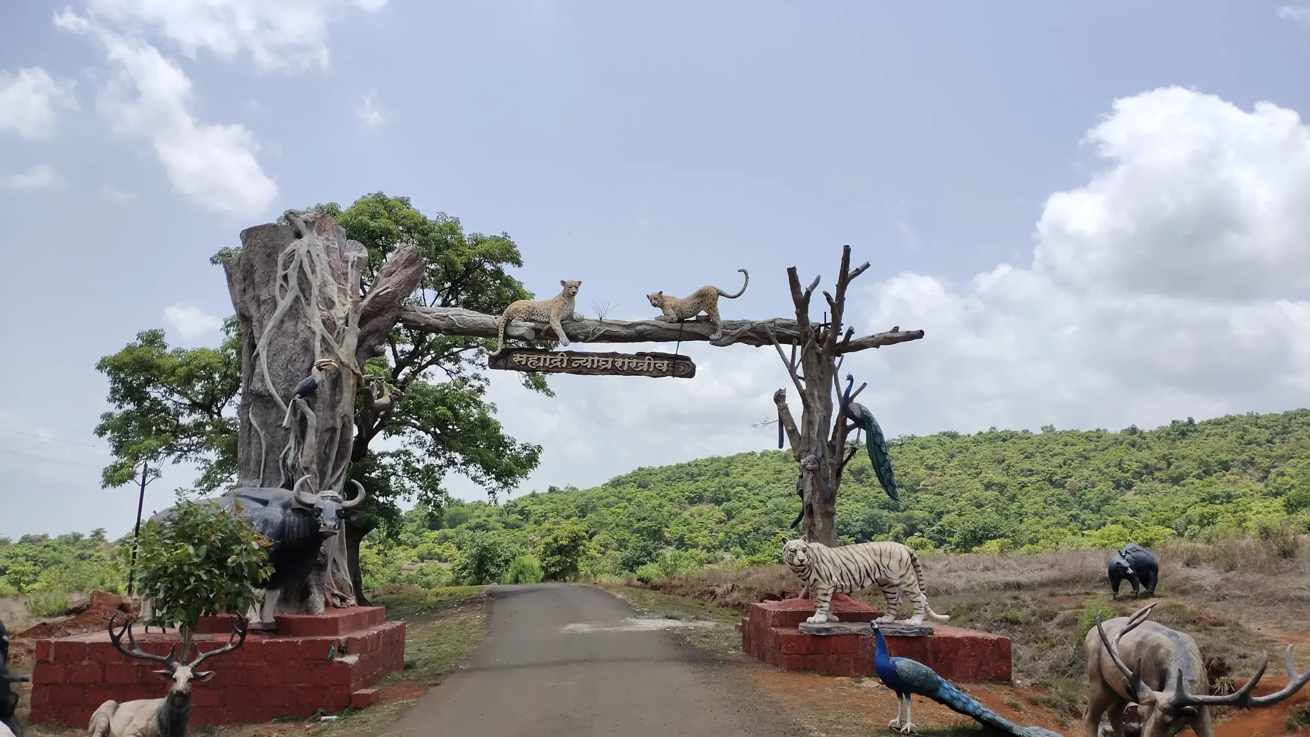 Chandoli National Park