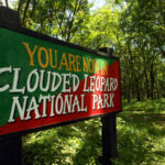 Clouded Leopard National Park