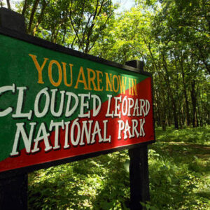 Clouded Leopard National Park