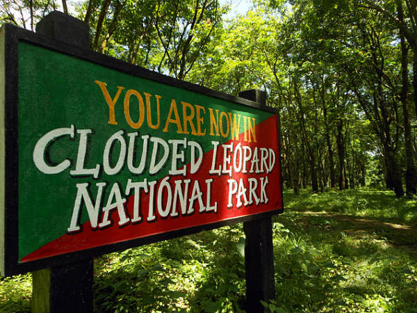 Clouded Leopard National Park