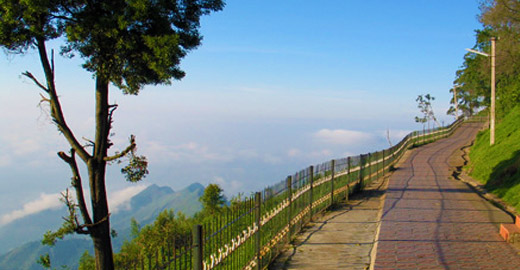 Coaker's Walk Kodaikanal
