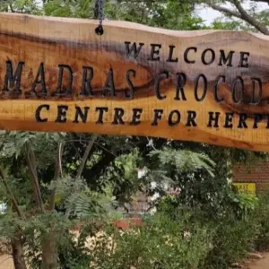 Crocodile Bank (Madras Crocodile Bank Trust) Chennai