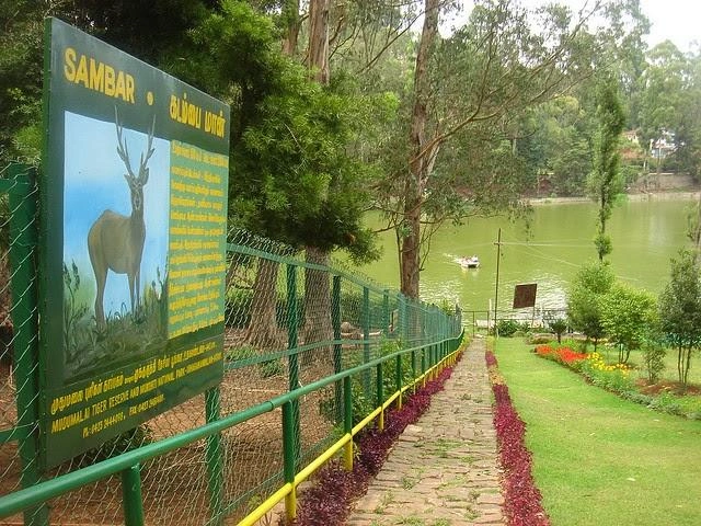 Deer Park Ooty