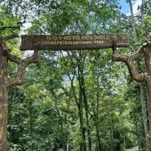 Dehing Patkai National Park
