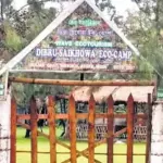Dibru-Saikhowa National Park