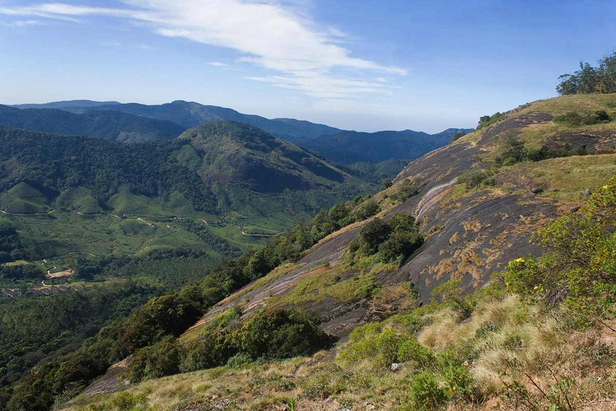 Eravikulam National Park - Image 3