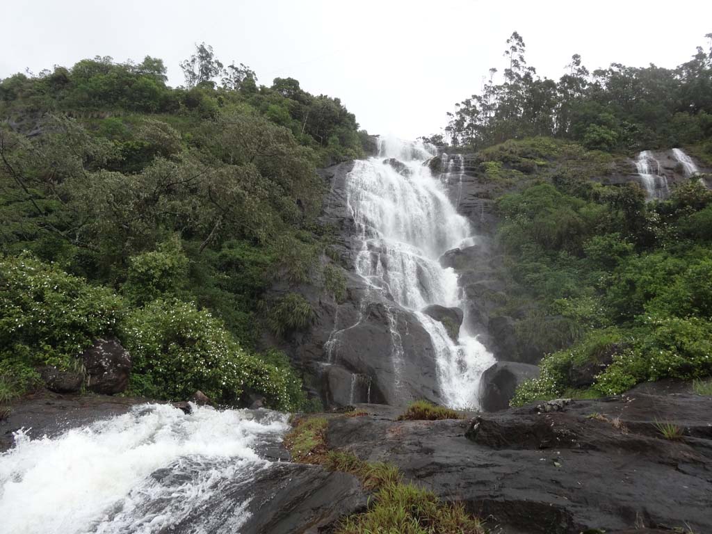 Eravikulam National Park - Image 5