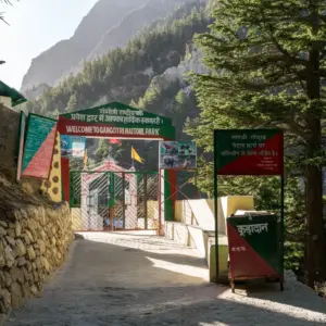 Gangotri National Park