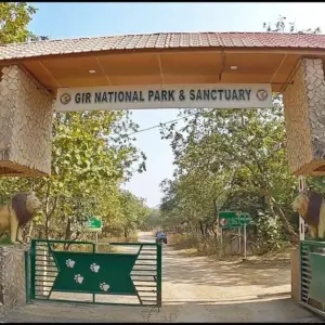 Gir National Park