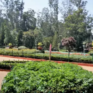 Government Botanical Garden Ooty