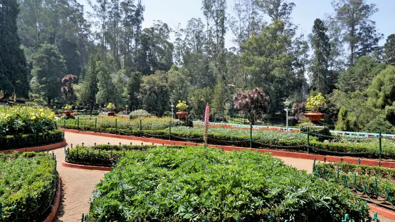 Government Botanical Garden Ooty