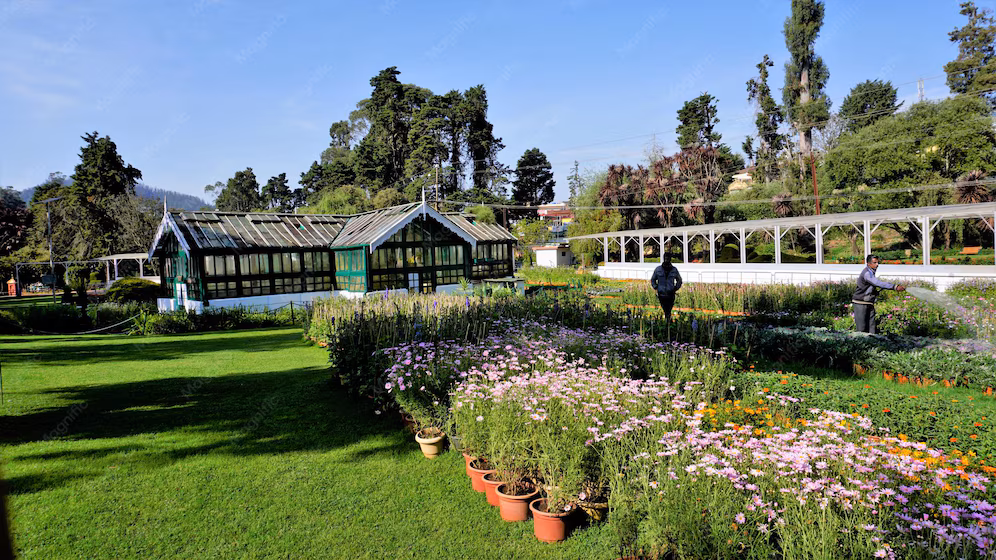 Government Botanical Garden Ooty - Image 3