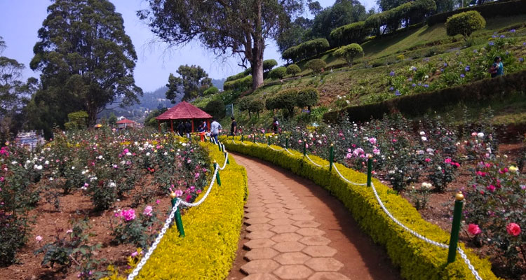 Government Botanical Garden Ooty