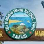 Gulf of Mannar Marine National Park