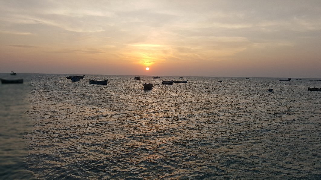 Gulf of Mannar Marine National Park - Image 4