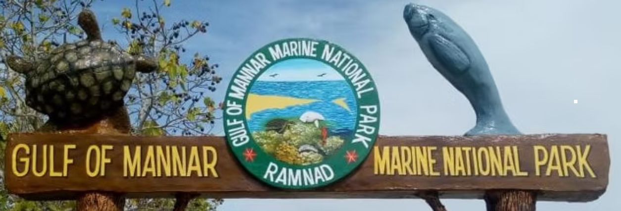 Gulf of Mannar Marine National Park