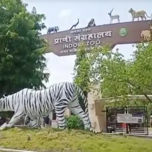 Indore Zoo (Kamla Nehru Zoo)