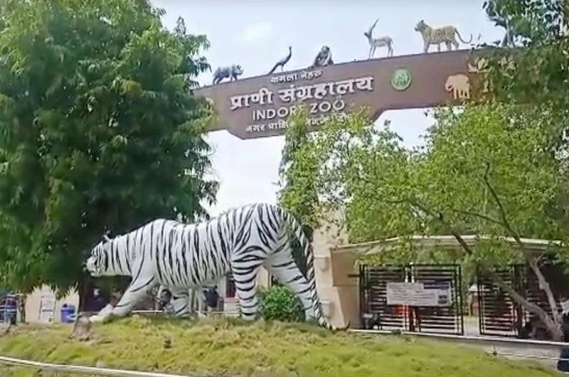 Indore Zoo (Kamla Nehru Zoo)
