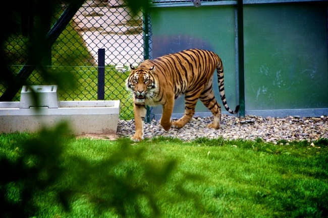 Kamla Nehru Zoological Garden - Image 2