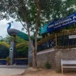 Kasu Brahmananda Reddy National Park
