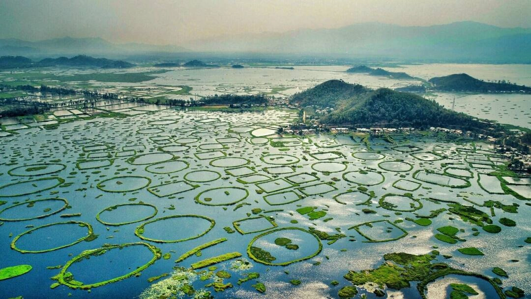 Keibul Lamjao National Park - Image 3