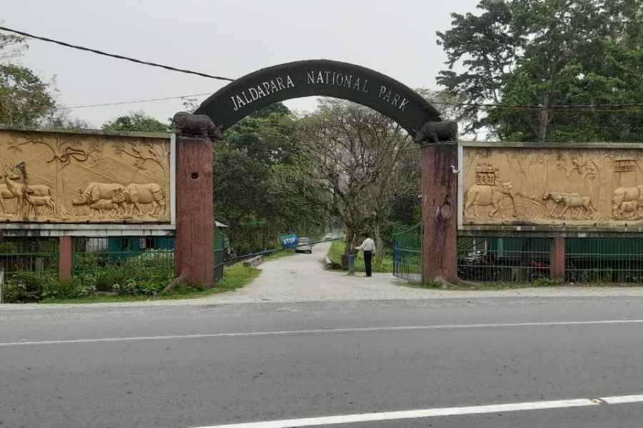 Kolkata Zoo (Jaldapara National Park Zoo)
