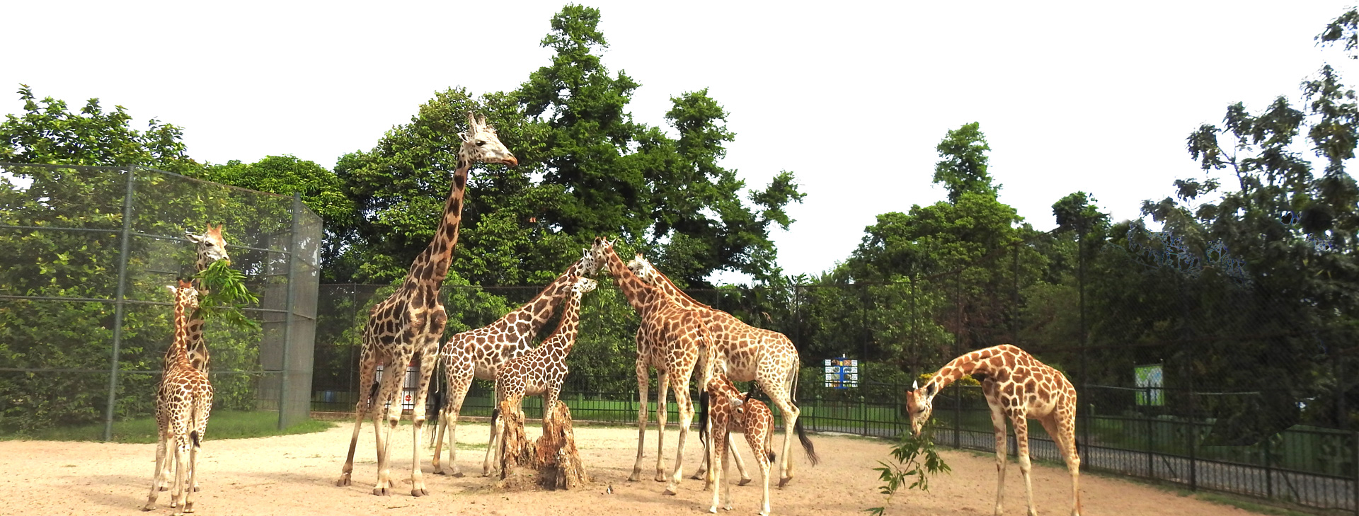Zoological Garden Alipore (Kolkata Zoo) - Image 5