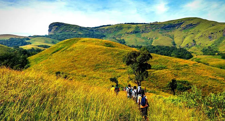 Kudremukh National Park - Image 2
