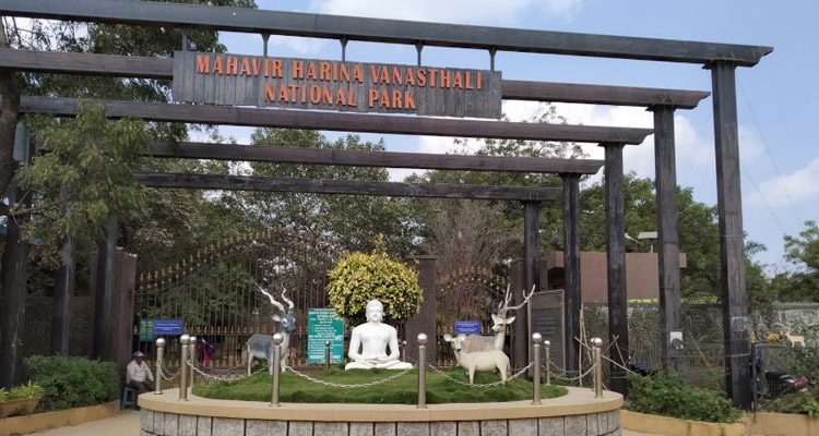 Mahavir Harina Vanasthali National Park