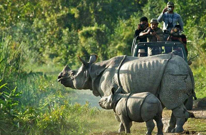 Manas National Park - Image 4