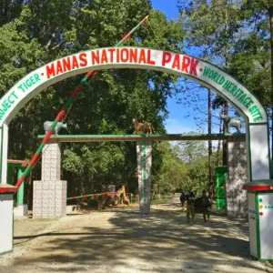 Manas National Park
